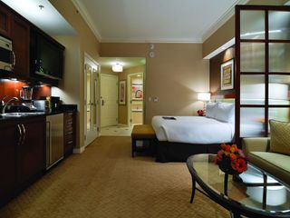 The Signature at MGM Grand (All Suites) in Las Vegas - Dog Stay Haven