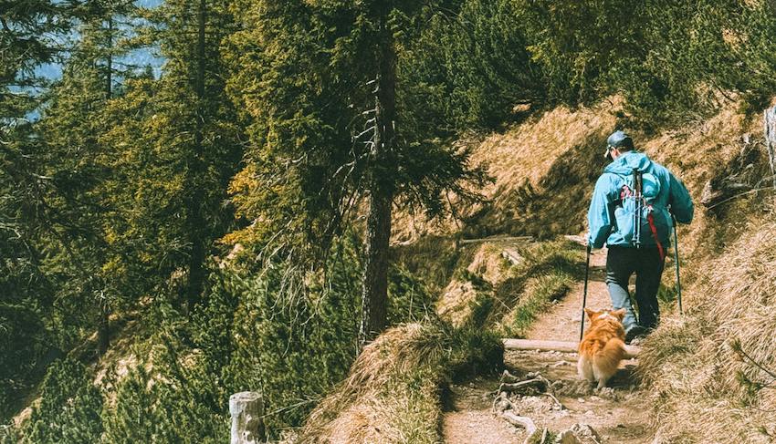 Man hiking with his dog