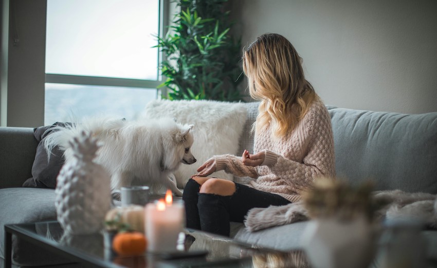Woman and her dog in a hotel
