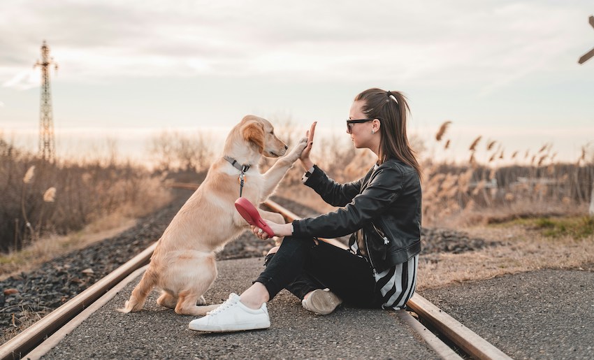 Woman with her dog on a train track